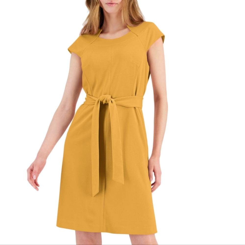NWT Kasper Women's XL Cap Sleeve Seemed Belted Dress Zipper Back Gold
